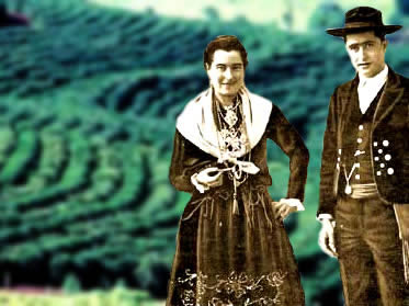 Os primeiros imigrantes chegaram ao Brasil para trabalhar em sistema de parceria nas lavouras de café.
